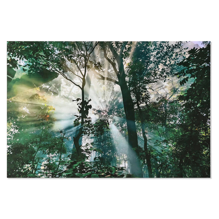 Картина Home ESPRIT калено стъкло 150 x 0,4 x 100 cm
