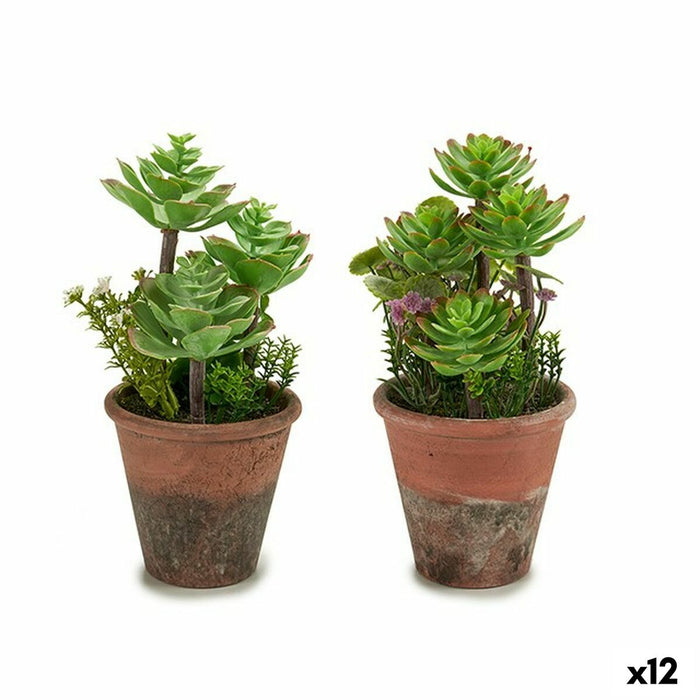 Декоративно Растение Ibergarden XD16-849 XD16-849 Пластмаса Сочен 16 x 23 x 16 cm (12 броя)