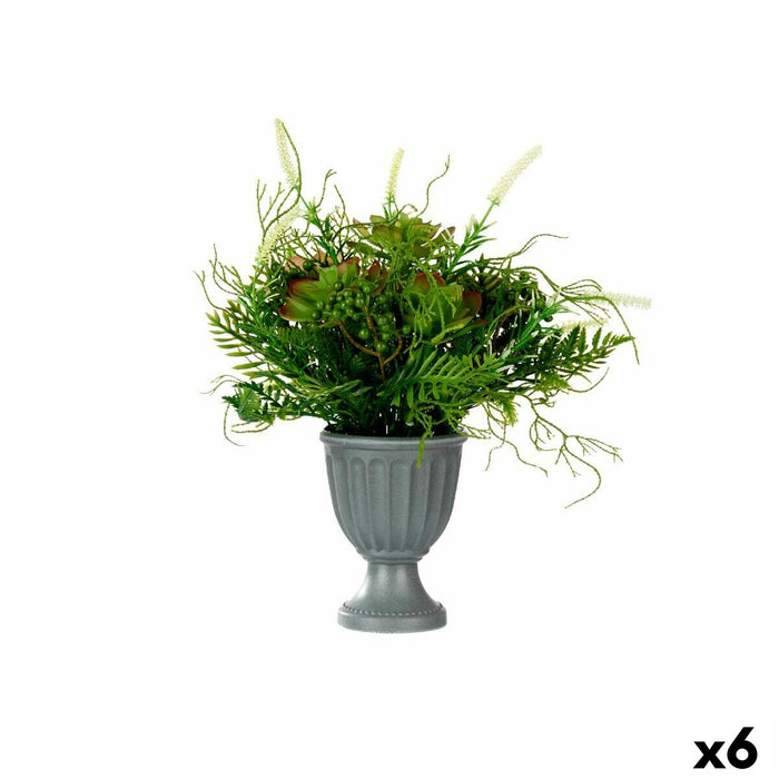 Декоративно Растение Ibergarden XD19-1369 XD19-1369 Пластмаса Чаша 21 x 30 x 21 cm 34 x 39,5 x 34 cm (6 броя)