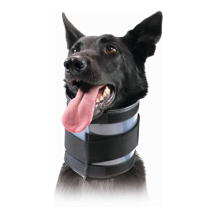 Нашийник за кучета KVP Черен (9-36 cm)