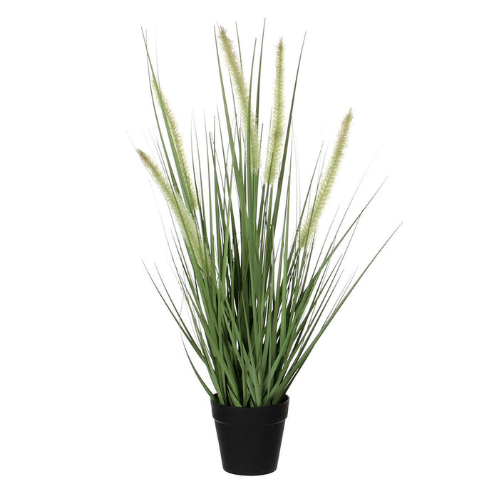 Декоративно Растение Mica Decorations Dogtail PVC