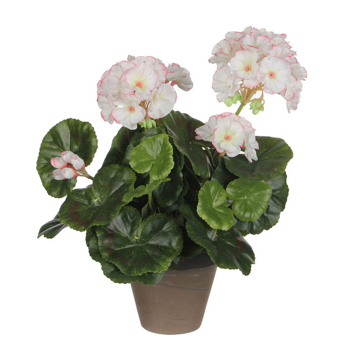Декоративно Растение Mica Decorations PVC Здравец (11,5 x 33 cm)