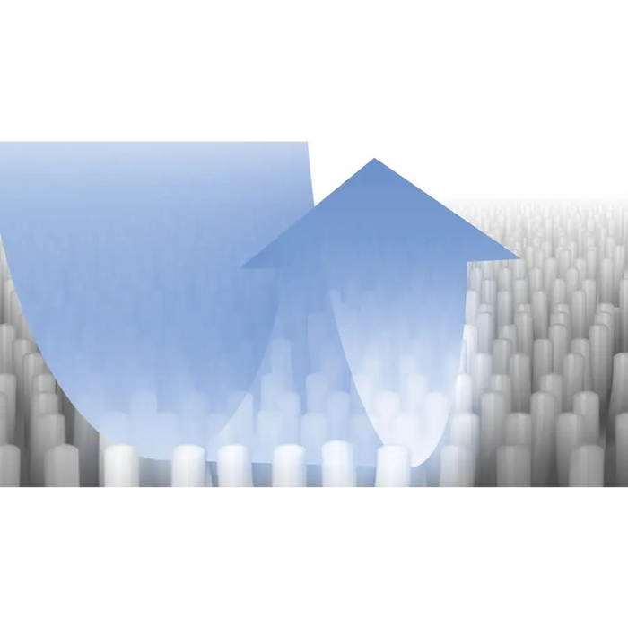 Аксесоар за прахосмукачка Bosch BBZWDSET/консумативи