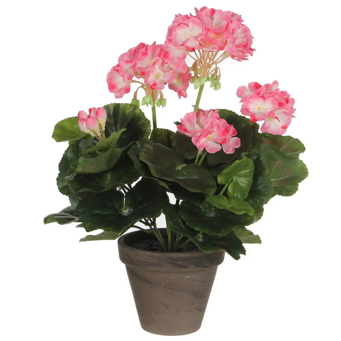 Декоративно Растение Mica Decorations PVC Здравец (11,5 x