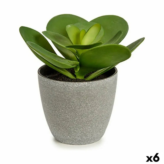 Декоративно Растение Ibergarden YC184572 YC184572 Пластмаса