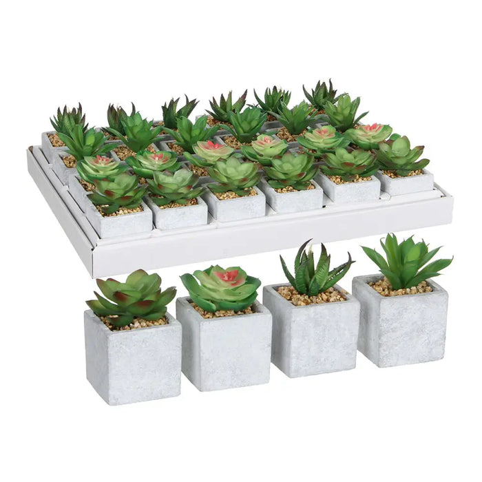 Декоративно Растение Mica Decorations 8 x 5 cm Зелен PVC