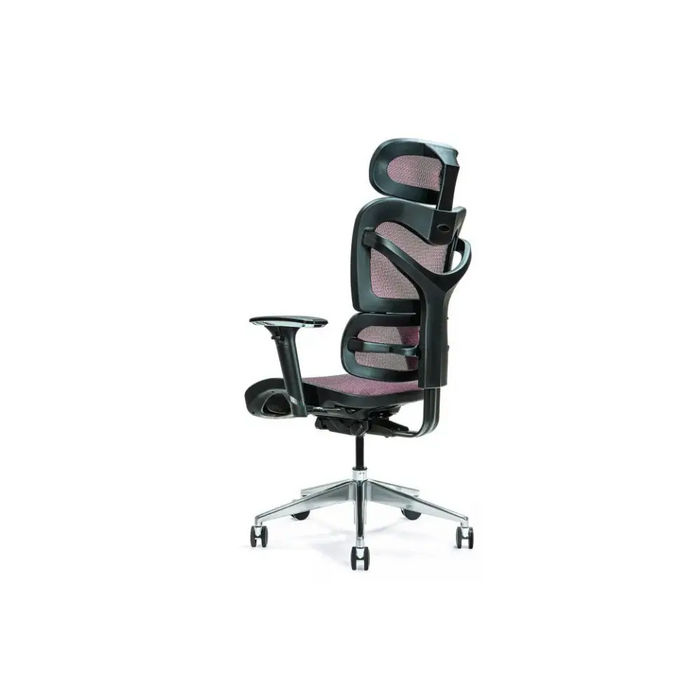 Ергономичен офис стол ERGO 600 слива