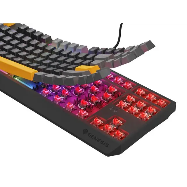 Клавиатура Genesis Gaming Keyboard Thor 230 TKL