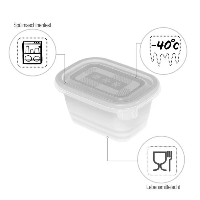 ROTHO Freeze - фризер контейнер - 6х250мл