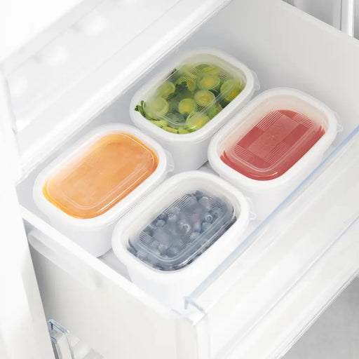 ROTHO Freeze - фризер контейнер - 4х750мл