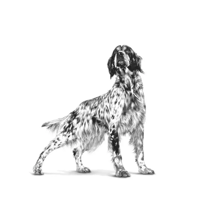 ROYAL CANIN Gastrointestinal Low Fat Loaf VHN - мокра храна