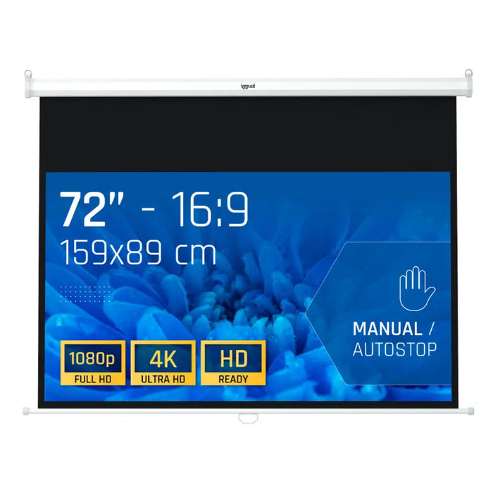 TDT тунер iggual IGG319673