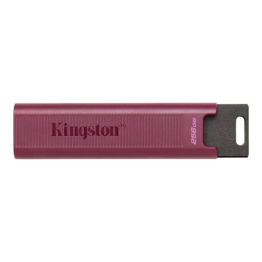 USB Памет KINGSTON 256GB USB3.2 TypeA DataTraveler