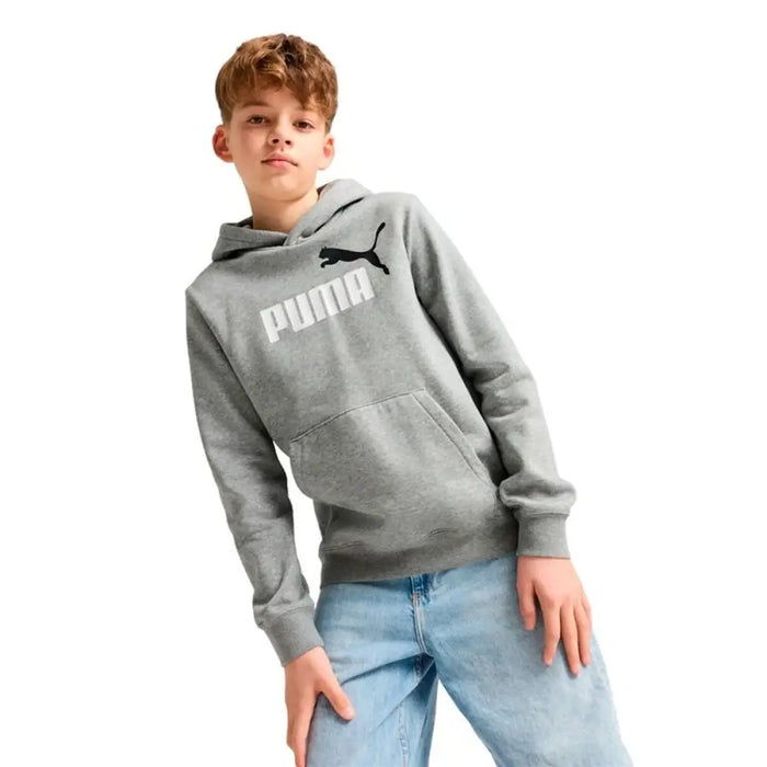 Детски суичър с качулка Puma Essentials 2 Color No.1 Сив
