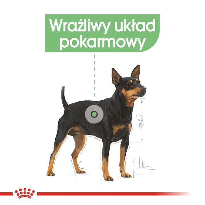 ROYAL CANIN CCN DIGESTIVE CARE LOAF - мокра храна