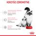Суха храна за котки Royal Canin Mother & Babycat 4 кг