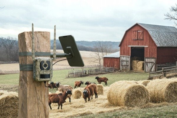 Фотопулпа с акумулатор Reolink Camovue Talon Series S130 LTE 8MP