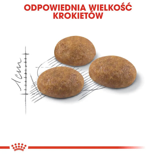 Суха храна за котки Royal Canin Active Life Outdoor 4 кг