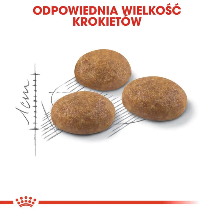 Суха храна за котки Royal Canin Active Life Outdoor 4 кг