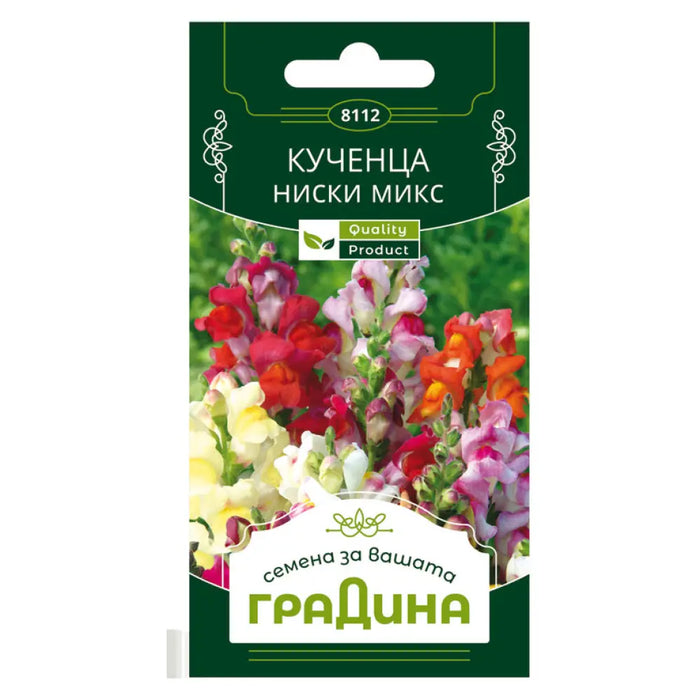 СЕМЕНА КУЧЕНЦА НИСКИ ГРАДИНА