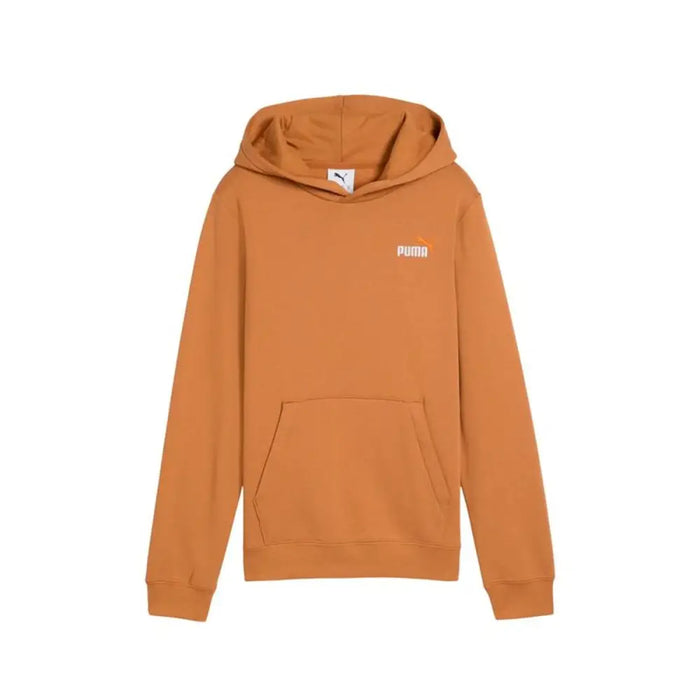 Суитчър с Качулка за Момиче Puma Essentials 2 Карамел