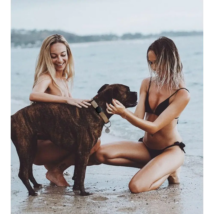 Силиконов калъф Apple AirTag за нашийник за куче или котка