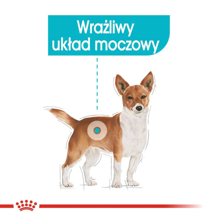 Royal Canin CCN Urinary Care Loaf - мокра храна
