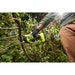 АКУМУЛАТОРНА БЕЗЧЕТКОВА ЛОЗАРСКА НОЖИЦА RYOBI RY18SCXA-0