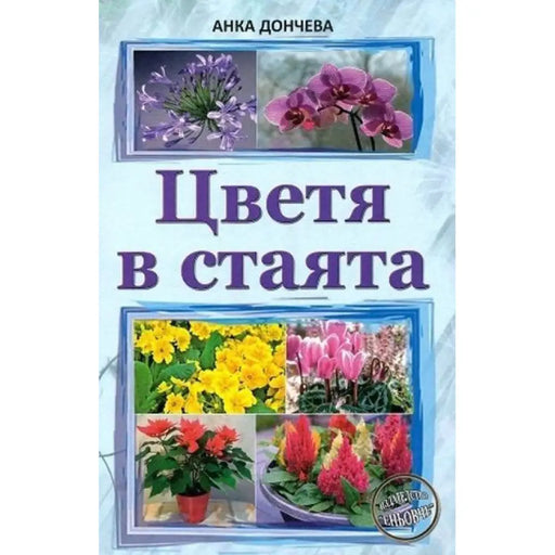 ЦВЕТЯ В СТАЯТА