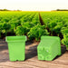 КОМПЛЕКТ САКСИИ ЗА РАЗСАД 20БР GARDEN STAR HD-10864