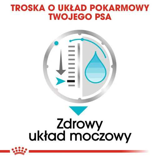 Royal Canin CCN Urinary Care Loaf - мокра храна