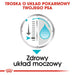Royal Canin CCN Urinary Care Loaf - мокра храна