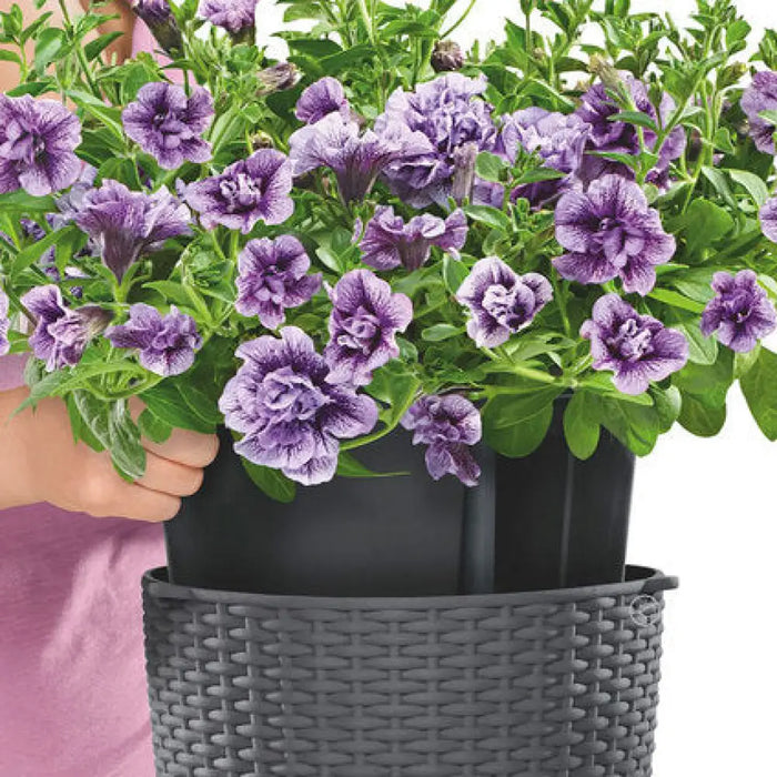 КАШПА Ф27CM С НАПОИТЕЛНА СИСТЕМА LECHUZA NIDO COTTAGE