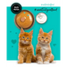 3COTY Пиле с патица За котенца - мокра котешка храна - 80гр