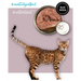3COTY Турция с гъска - мокра котешка храна - 80гр