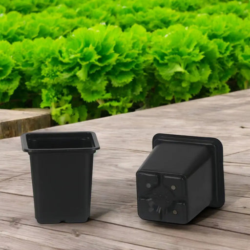 КОМПЛЕКТ САКСИИ ЗА РАЗСАД 20БР GARDEN STAR HD-10864
