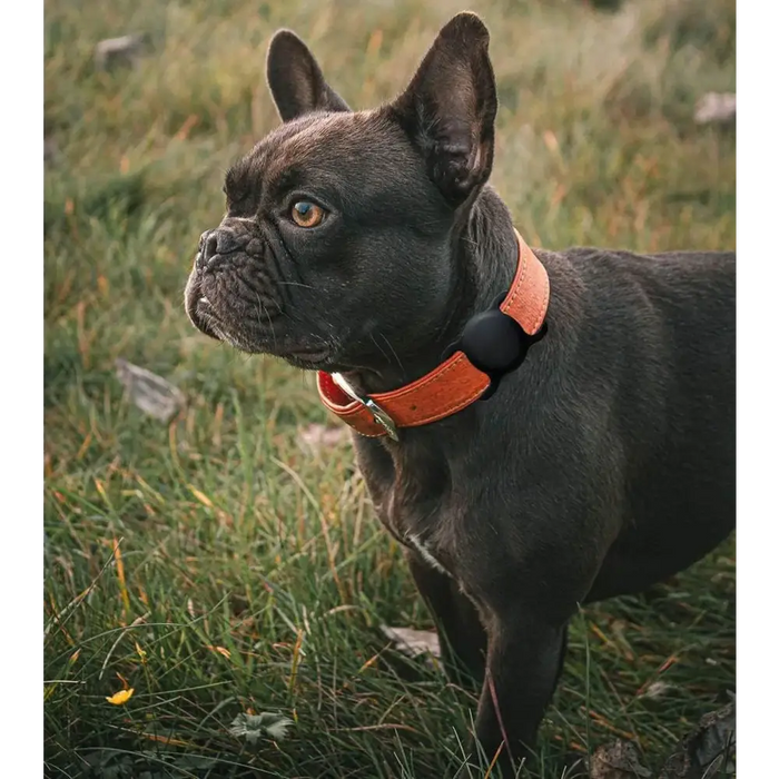 Силиконов калъф Apple AirTag за нашийник за куче или котка