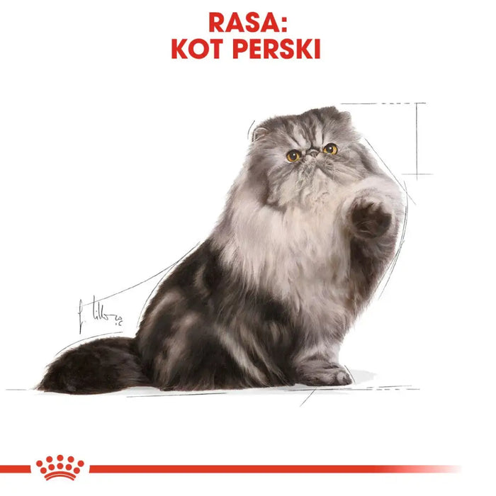 Суха храна за персийски котки Royal Canin 4 кг царевица