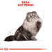 Суха храна за персийски котки Royal Canin 4 кг царевица