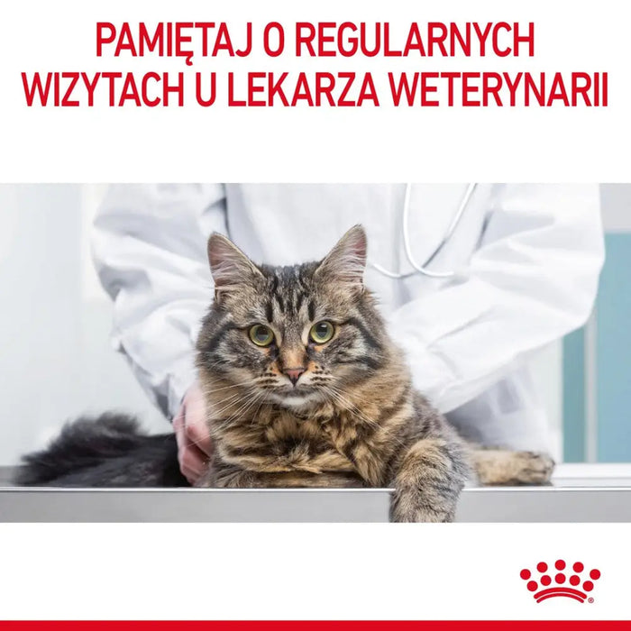 Суха храна за котки Royal Canin Hair & Skin Care 4 кг