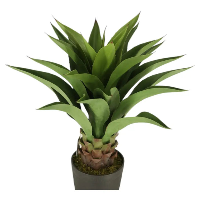 ИЗКУСТВЕНО РАСТЕНИЕ АГАВЕ 82CM HD HD-10986