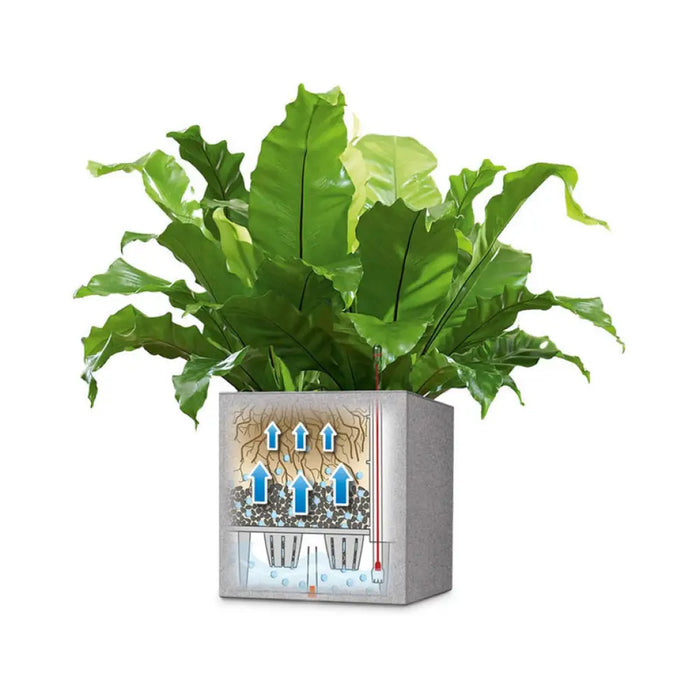 КАШПА 30X30CM С НАПОИТЕЛНА СИСТЕМА LECHUZA CANTO