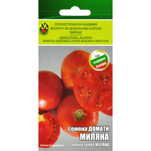 СЕМАНА ДОМАТ МИЛЯНА ИЗК МАРИЦА