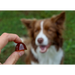 ГЕЛОРЕН Small dog Joints - кучешки витамини - 180гр