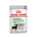 ROYAL CANIN CCN DIGESTIVE CARE LOAF - мокра храна