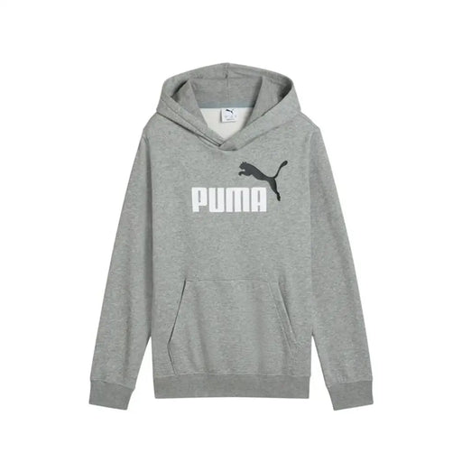 Детски суичър с качулка Puma Essentials 2 Color No.1 Сив