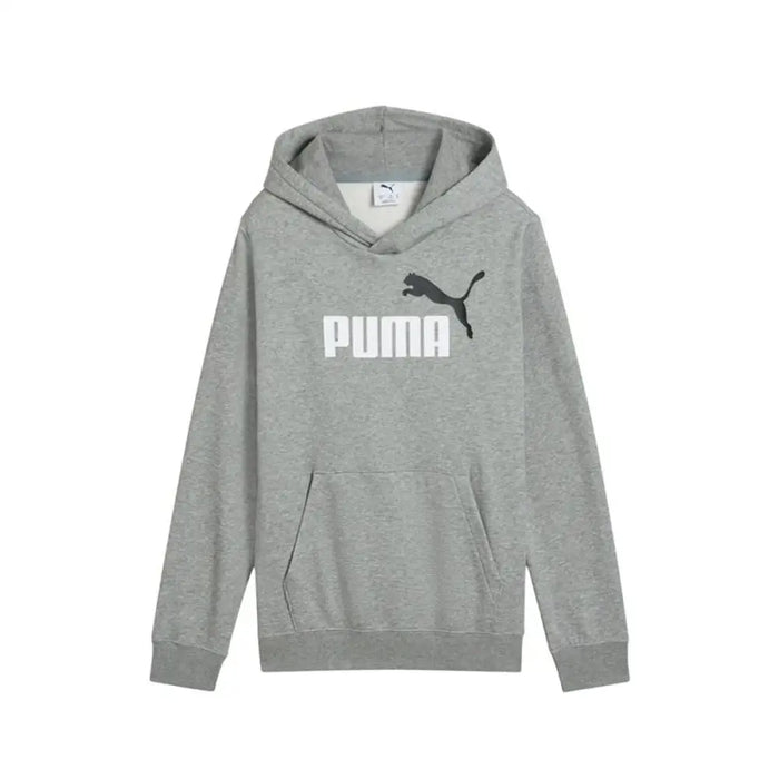 Детски суичър с качулка Puma Essentials 2 Color No.1 Сив