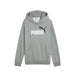 Детски суичър с качулка Puma Essentials 2 Color No.1 Сив