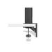 Монитор за програмиране BenQ RD320UA 31.5’’ Ergo Stand