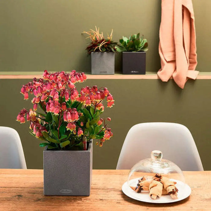 КАШПА 14X14CM С НАПОИТЕЛНА СИСТЕМА LECHUZA CANTO STONE